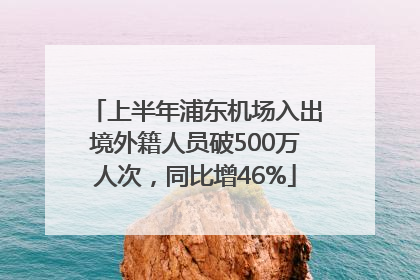 上半年浦东机场入出境外籍人员破500万人次，同比增46%
