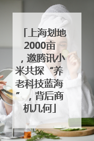 上海划地2000亩，邀腾讯小米共探“养老科技蓝海”，背后商机几何