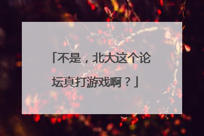 不是，北大这个论坛真打游戏啊？
