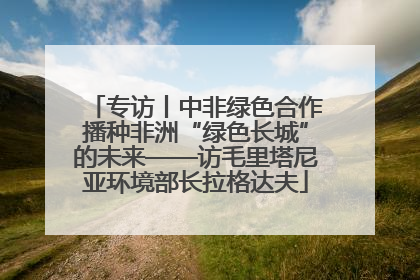 专访丨中非绿色合作播种非洲“绿色长城”的未来——访毛里塔尼亚环境部长拉格达夫