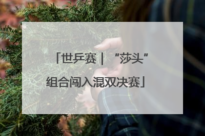 世乒赛｜“莎头”组合闯入混双决赛
