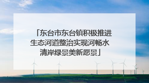 东台市东台镇积极推进生态河道整治实现河畅水清岸绿景美新愿景