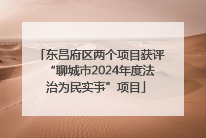 东昌府区两个项目获评“聊城市2024年度法治为民实事”项目