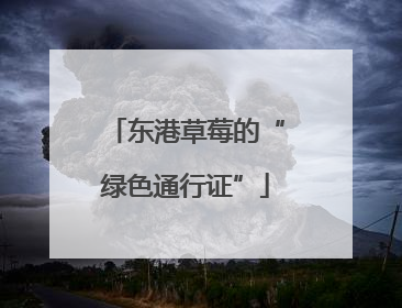 东港草莓的“绿色通行证”