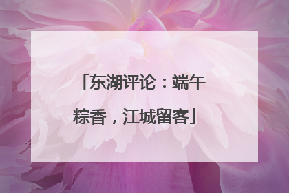 东湖评论：端午粽香，江城留客