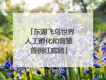 东湖飞鸟世界人工孵化和育雏首例红嘴鸥