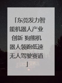 东莞发力智能机器人产业创新 狗熊机器人领跑低速无人驾驶赛道