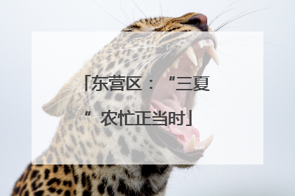 东营区：“三夏”农忙正当时