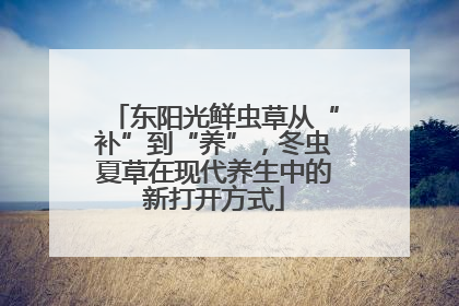 东阳光鲜虫草从“补”到“养”，冬虫夏草在现代养生中的新打开方式