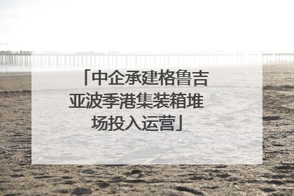 中企承建格鲁吉亚波季港集装箱堆场投入运营