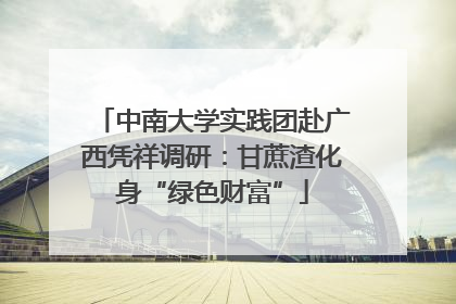 中南大学实践团赴广西凭祥调研：甘蔗渣化身“绿色财富”