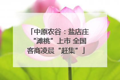 中原农谷：盐店庄“滩桃”上市 全国客商凌晨“赶集”