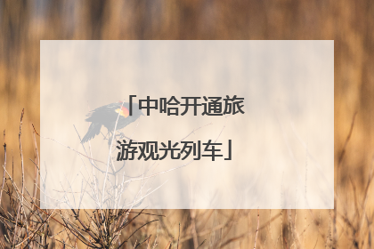 中哈开通旅游观光列车