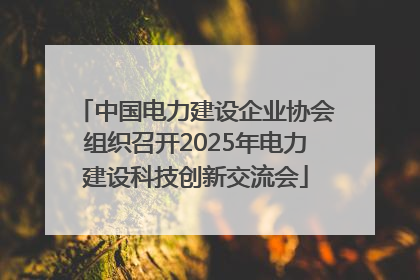 中国电力建设企业协会组织召开2025年电力建设科技创新交流会