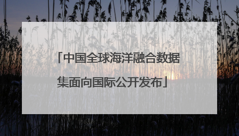 中国全球海洋融合数据集面向国际公开发布