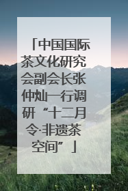 中国国际茶文化研究会副会长张仲灿一行调研“十二月令·非遗茶空间”