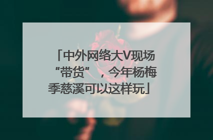 中外网络大V现场“带货”，今年杨梅季慈溪可以这样玩