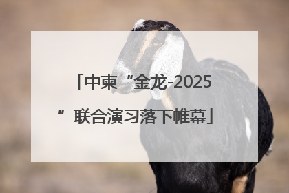 中柬“金龙-2025”联合演习落下帷幕