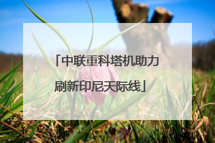 中联重科塔机助力刷新印尼天际线