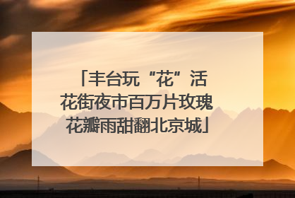 丰台玩“花”活 花街夜市百万片玫瑰花瓣雨甜翻北京城