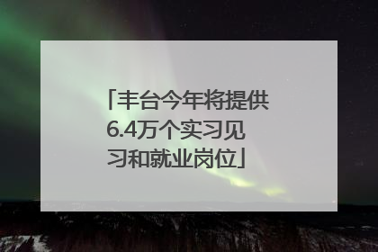 丰台今年将提供6.4万个实习见习和就业岗位