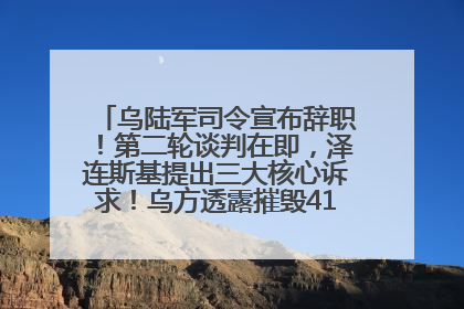 乌陆军司令宣布辞职！第二轮谈判在即，泽连斯基提出三大核心诉求！乌方透露摧毁41架俄战略轰炸机