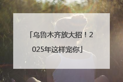乌鲁木齐放大招！2025年这样宠你
