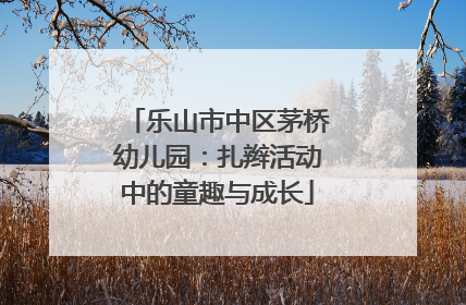 乐山市中区茅桥幼儿园：扎辫活动中的童趣与成长