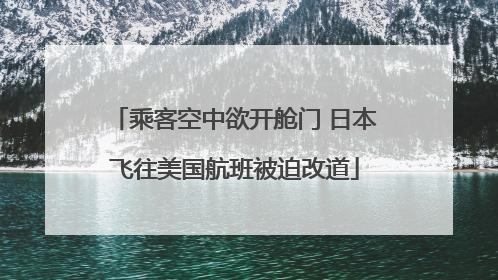 乘客空中欲开舱门 日本飞往美国航班被迫改道