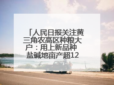 人民日报关注黄三角农高区种粮大户：用上新品种 盐碱地亩产超1200斤