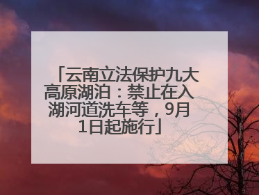 云南立法保护九大高原湖泊：禁止在入湖河道洗车等，9月1日起施行