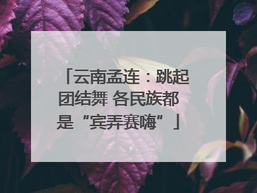 云南孟连：跳起团结舞 各民族都是“宾弄赛嗨”