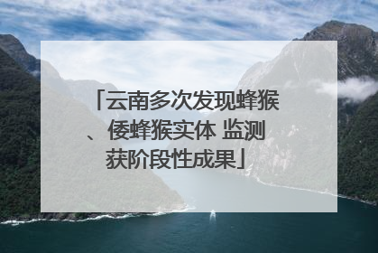 云南多次发现蜂猴、倭蜂猴实体 监测获阶段性成果