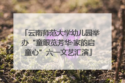 云南师范大学幼儿园举办“童眼览芳华·家韵启童心”六一文艺汇演