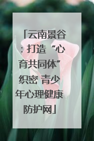 云南景谷：打造“心育共同体”织密 青少年心理健康防护网