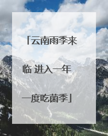 云南雨季来临 进入一年一度吃菌季