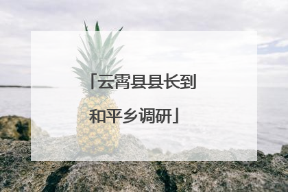 云霄县县长到和平乡调研