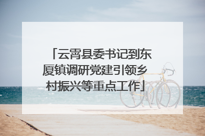 云霄县委书记到东厦镇调研党建引领乡村振兴等重点工作