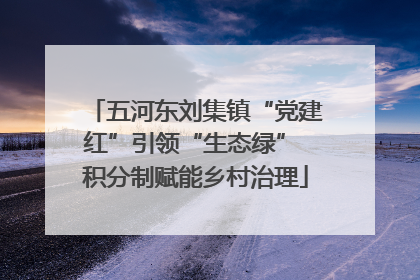 五河东刘集镇“党建红”引领“生态绿” 积分制赋能乡村治理