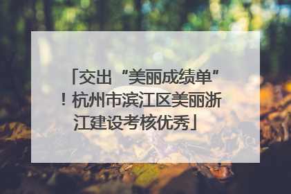 交出“美丽成绩单”！杭州市滨江区美丽浙江建设考核优秀