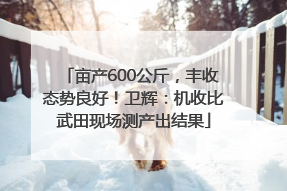 亩产600公斤，丰收态势良好！卫辉：机收比武田现场测产出结果