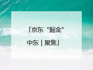 京东“掘金”中东｜聚焦