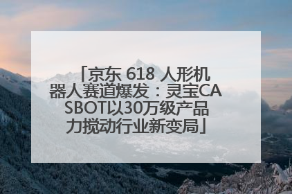 京东 618 人形机器人赛道爆发：灵宝CASBOT以30万级产品力搅动行业新变局