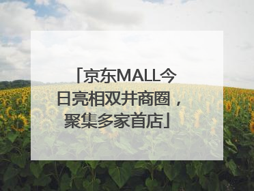 京东MALL今日亮相双井商圈，聚集多家首店