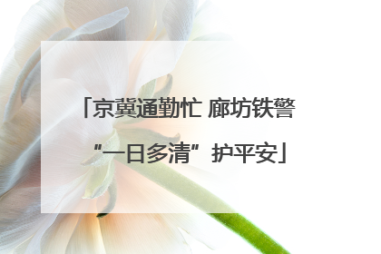 京冀通勤忙 廊坊铁警“一日多清”护平安
