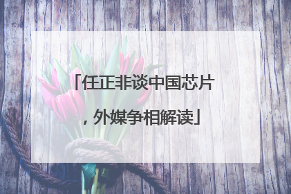 任正非谈中国芯片，外媒争相解读