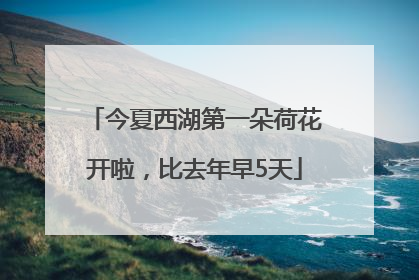 今夏西湖第一朵荷花开啦，比去年早5天