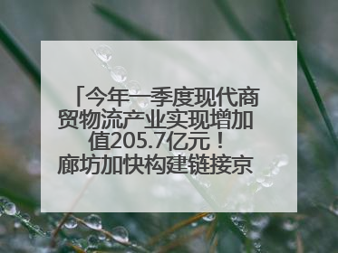 今年一季度现代商贸物流产业实现增加值205.7亿元！廊坊加快构建链接京津冀面向全世界的物流通道
