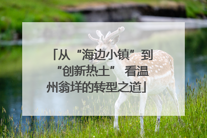 从“海边小镇”到“创新热土” 看温州翁垟的转型之道