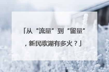 从“流量”到“留量”，新民歌湖有多火？